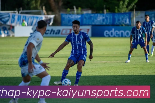 开云体育平台生态图